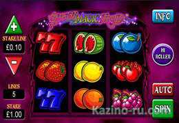  «Black Magic Fruits» - новый игровой слот от SkillOnNet.