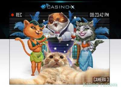 Тест новой игры от Джонни Кэтсвилла в Casino-X!