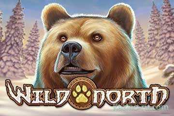 Новый слот «Wild North» выпущен компанией Play'n Go.