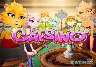 Автомат «Catsino» - новое кошачье казино от «Rival Gaming».