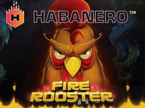 «Fire Rooster» - новый игровой слот, выпущенный компанией «Habanero» в чест ...