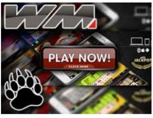 World Match video poker